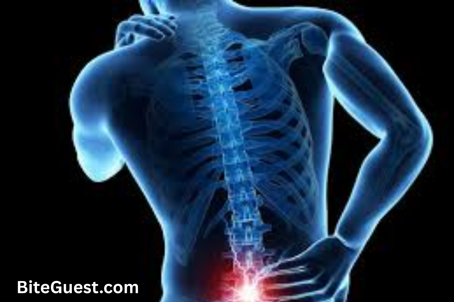 Lower Left Back Pain